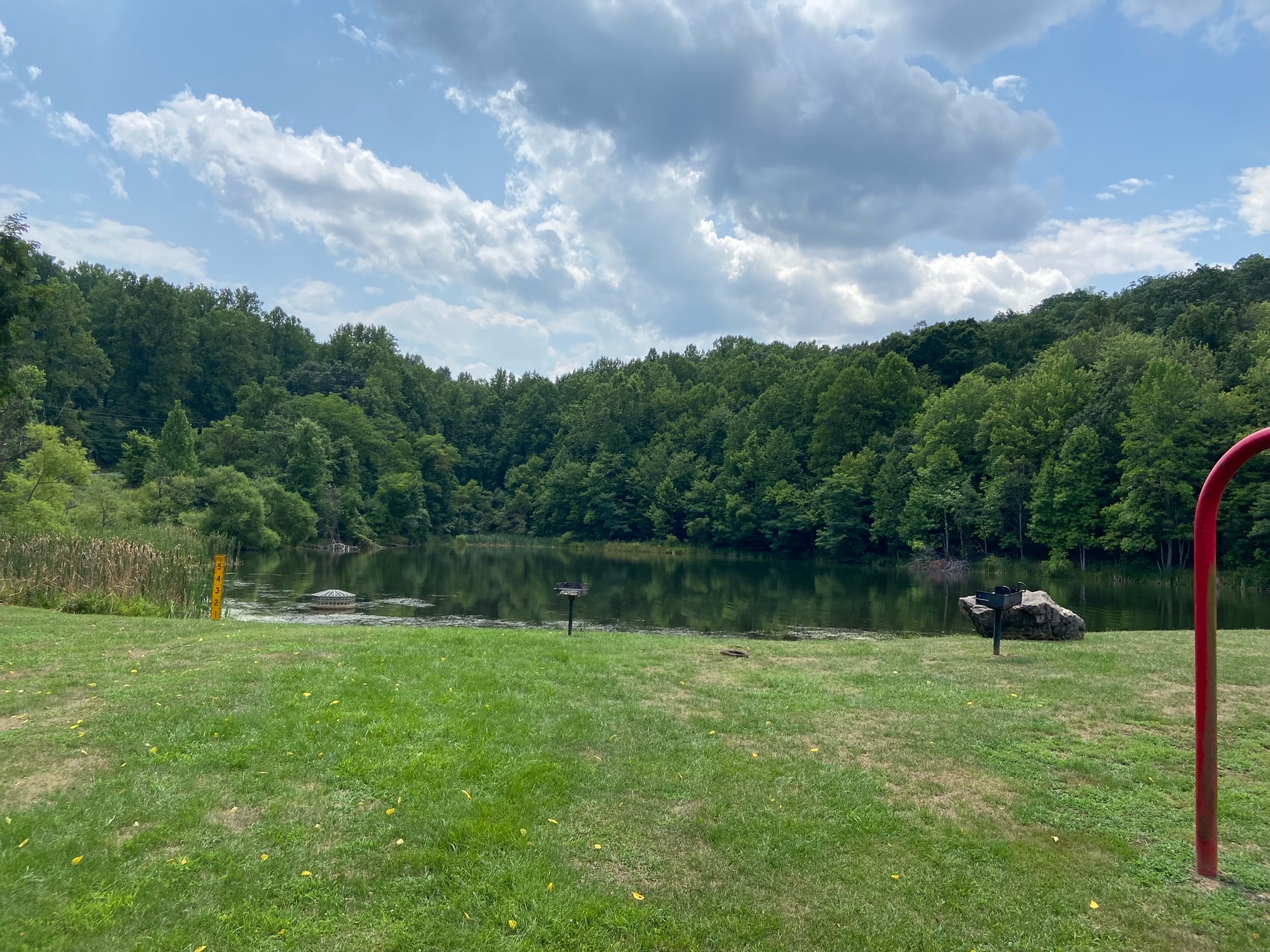 Grassy park beside a calm lake with tree-lined shores under a partly cloudy blue sky.